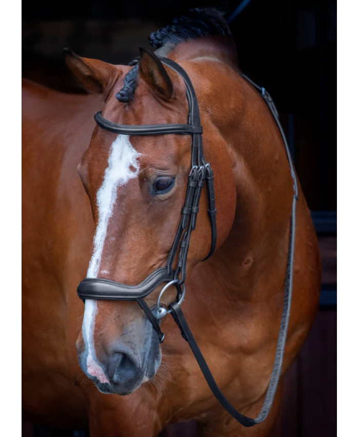 Velociti RAPIDA Ergonomic Flash Bridle